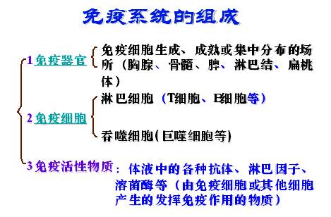 1580803558323002.jpg u=1069383907,3409754455&fm=26&gp=0.jpg